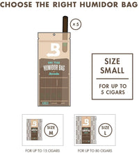 Load image into Gallery viewer, Boveda 2 way humidor bag (small)